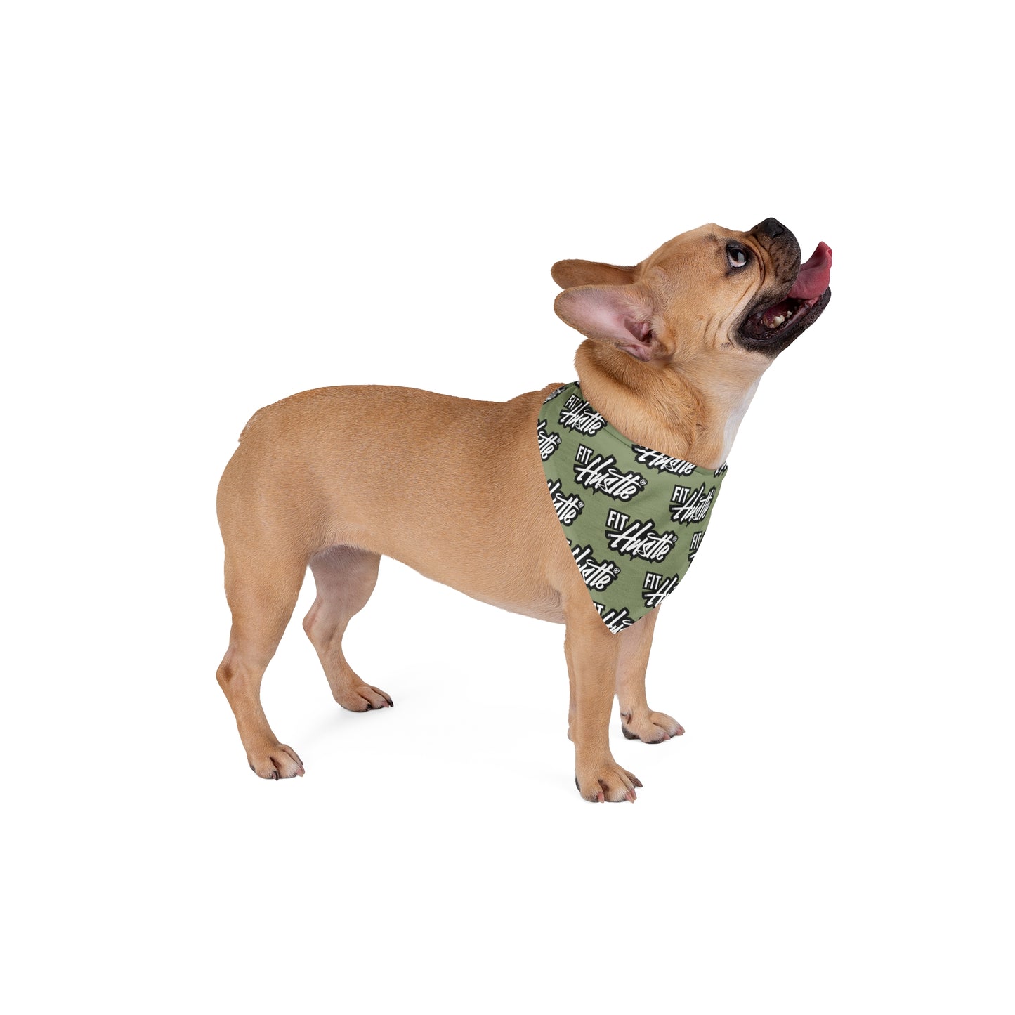 Pet Bandana — Olive "Fit Hustle" Repeated Logo Dog Bandana