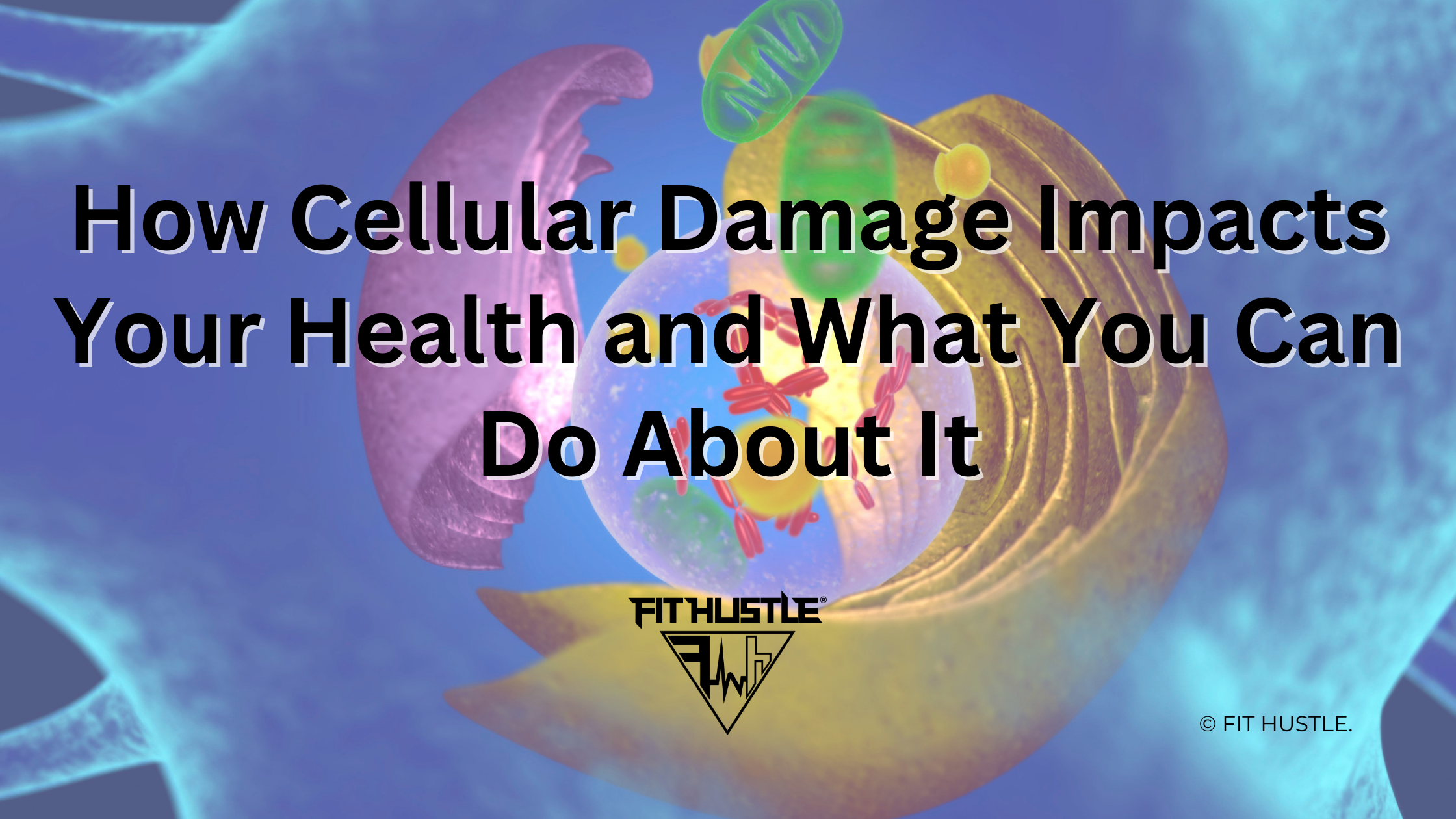 How Cellular Damage Impacts Your Health and What You Can Do About It ...